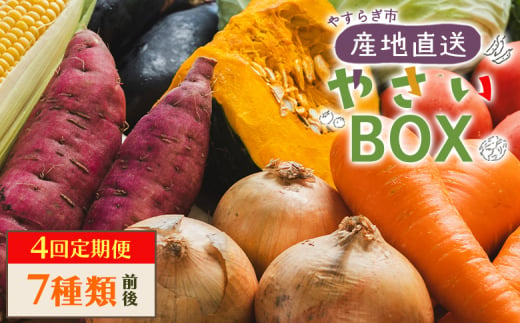 野菜 定期便 人気 4回定期便 やさいＢＯＸ（7種類前後） やすらぎ市 産地直送 - 野菜 ベジタブル おまかせ 詰め合わせ セット 季節 旬 お任せ お楽しみ ヘルシー 国産 特産品 送料無料 やすらぎ市 高知県 香南市 Wyr-0036 1518519 - 高知県香南市