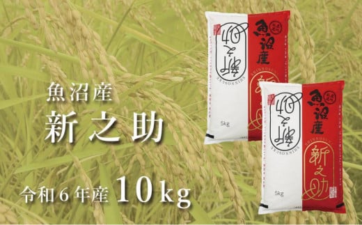 ＜令和6年産＞中魚沼産「新之助(しんのすけ)」10kg 979413 - 新潟県津南町