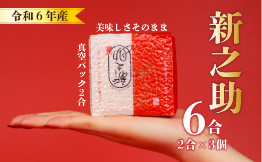 令和6年産 新米 新之助 真空パック 2合 × 3個セット 生産者直送 お米 ご飯 こめ コメ 特別栽培米 新潟 新潟産 新発田 新発田産 保存食 非常食 防災食 備蓄食 防災グッズ キャンプ アウトドア 姉﨑農園 新潟県 新発田市 anezaki004