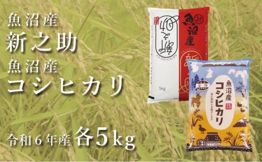 ＜令和6年産＞中魚沼産「新之助」5kg ＋ 魚沼産コシヒカリ「金印」5kg 食べ比べセット 979415 - 新潟県津南町