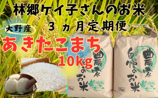 【3ヵ月定期便】令和6年産大野産あきたこまち10㎏（5㎏×2袋） 627904 - 岩手県洋野町