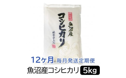 【令和6年産】お米マイスター厳選！魚沼産コシヒカリ５kg×12ヶ月毎月発送　定期便 1517848 - 新潟県新潟県庁