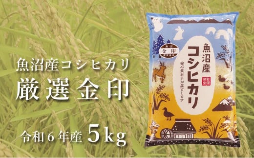 ＜令和6年産＞魚沼産コシヒカリ「金印」高食味米 5kg 712367 - 新潟県津南町