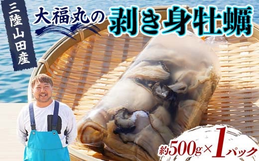 大福丸の剥き身牡蠣 約500g×1パック【三陸山田産】【沖縄・離島配送不可】三陸山田 山田町 山田湾 海産品 かき YD-723 1519351 - 岩手県山田町