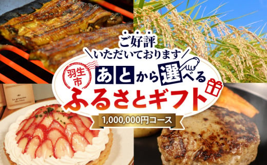 あとから選べる ふるさとギフト 100万円 米 精米 玄米 ご飯 ハンバーグ スイーツ ケーキ いちご 苺 野菜 アイス 定期便 ウイスキー 酒 豚肉 選べる カタログ ギフト 埼玉県 羽生市 1524519 - 埼玉県羽生市