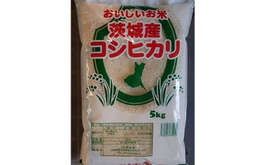 令和6年産　コシヒカリ(精白米)　5kg【1557857】 1517056 - 茨城県城里町