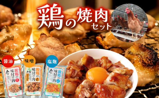 鶏の焼肉セット(300g×6パック) | 焼肉 鶏肉 鶏肉 チキン 味付け肉 信州 長野県 松本市 1511446 - 長野県松本市