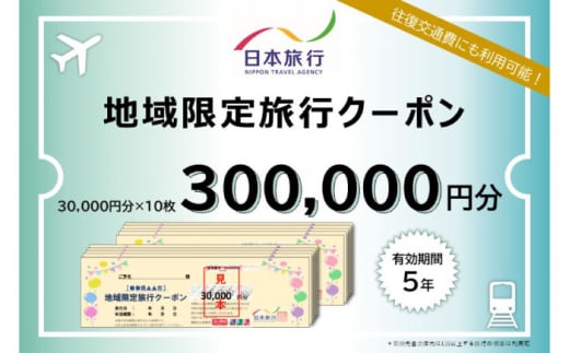 長崎県壱岐市　日本旅行　地域限定旅行クーポン 300,000円分 《壱岐市》 【日本旅行】 [JFW006] 1222549 - 長崎県壱岐市