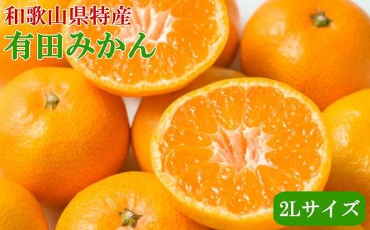 [秀品]和歌山有田みかん約9kg(2Lサイズ) ★2024年11月中旬頃より順次発送【TM85】 481001 - 和歌山県由良町