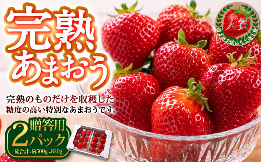 完熟あまおう 贈答用 約250g～410g×2パック 合計約500g～820g 【2025年1月上旬～3月上旬順次出荷予定】いちご 苺 イチゴ ベリー 果物 フルーツ お取り寄せ デザート おやつ 1451580 - 福岡県香春町