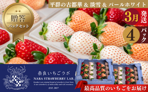 贈答用 いちご 平群の 古都華 ＆ 淡雪 ＆ パールホワイト L ～ 2Lサイズ （2パック×2ケース） 計4パック  | フルーツ果物 くだもの いちご 苺 イチゴストロベリー 古都華旬 淡雪 パールホワイト 豪華 セット 奈良県 平群町  960671 - 奈良県平群町