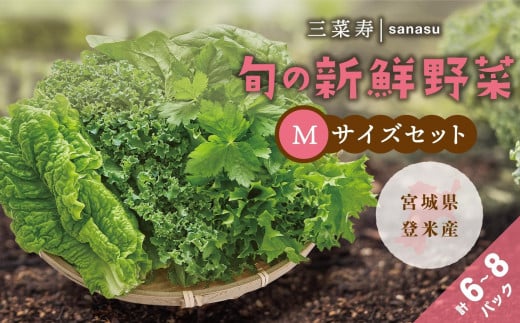 旬の新鮮野菜セット Mサイズ（5種類以上/6～8パック） 1497069 - 宮城県登米市