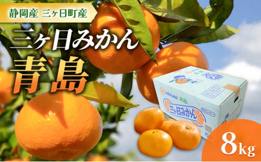 【2025年1月より順次発送】三ヶ日みかん【青島】8kg/箱 静岡県浜松市三ヶ日産 みかん ミカン 蜜柑 果物 フルーツ 柑橘 柑橘類 静岡 浜松市 三ヶ日 [№5360-0141]