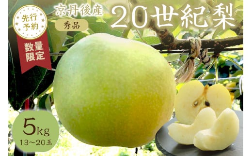 【先行予約／数量限定50】20世紀梨 秀品 5kg（13～20玉入り）（2025年9月上旬～発送）　SF00020