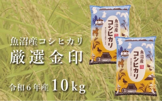 ＜令和6年産＞魚沼産コシヒカリ「金印」高食味米 10kg 712368 - 新潟県津南町