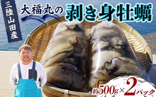 大福丸の剥き身牡蠣 約500g×2パック【三陸山田産】【沖縄・離島配送不可】三陸山田 山田町 山田湾 海産品 かき YD-724 1519352 - 岩手県山田町