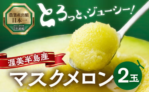 9月中お届け 先行予約 渥美半島産 マルカ農園のマスクメロン 2玉 (1玉1.5kg以上) めろん 箱詰め フルーツ 果物 田原市 産地直送 夏 12000円 1518447 - 愛知県田原市