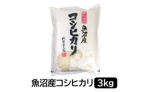 【令和6年産】お米マイスター厳選！魚沼産コシヒカリ３kg 1517843 - 新潟県新潟県庁