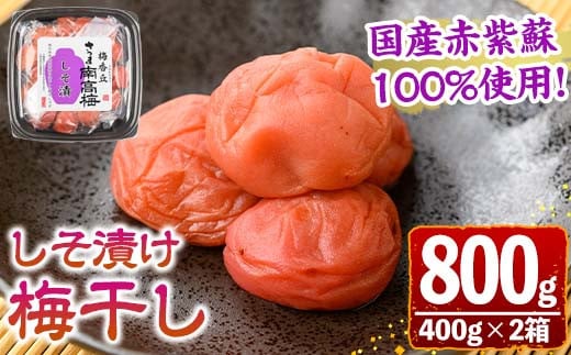 s605 国産赤紫蘇100%使用しそ漬け(計800g・400g×2箱) 鹿児島 国産 梅 うめ ウメ 梅干し ご飯のお供に セット 常温 贈答 ギフト 【梅香丘】 1519640 - 鹿児島県さつま町