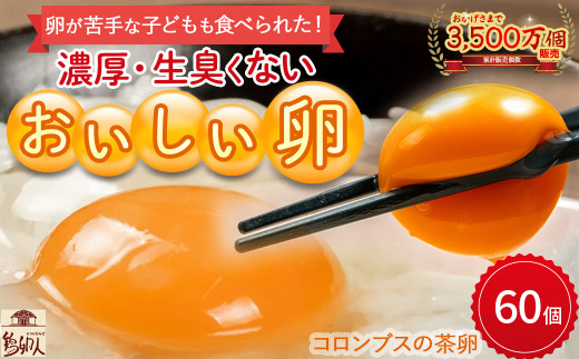 卵が苦手な子どもも食べられた！生臭くないおいしい卵 （10個入×6P） Gbn-59  たまご 卵 玉子 鶏卵 生卵 生たまご 1519263 - 高知県四万十町