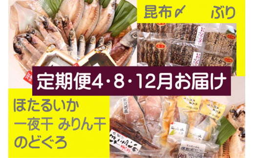 【年3回定期便】氷見堀与季節の干物・海産物 ＜氷見ぶり、昆布〆刺身、蛍いか、のどぐろ入＞ 富山県 氷見市 干物 詰め合わせ 魚介類