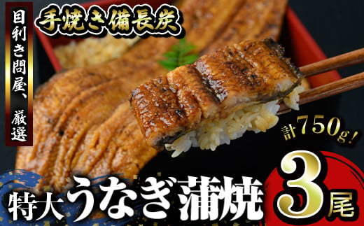 2740 うなぎ問屋の備長炭手焼　うなぎ蒲焼　特大3尾（750ｇ）【うなぎ 国産 九州 鹿屋市 本格 鰻 ウナギ 蒲焼 冷凍 湯煎 レンジ 解凍 簡単調理 鰻丼 鰻重 ひつまぶし 魚 土用の丑】 1516807 - 鹿児島県鹿屋市