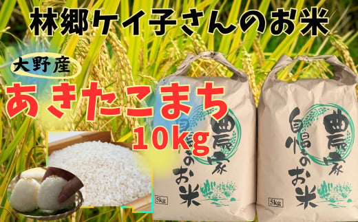 【令和6年産】大野産あきたこまち10㎏（5㎏×2袋） 568736 - 岩手県洋野町