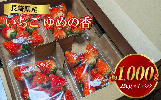 長崎県産いちご ゆめの香 約1kg (250g×4パック) ／ 果物 くだもの フルーツ イチゴ 苺 長崎県 長崎市 【2024年11月下旬-2025年5月下旬発送予定】 1502106 - 長崎県長崎市