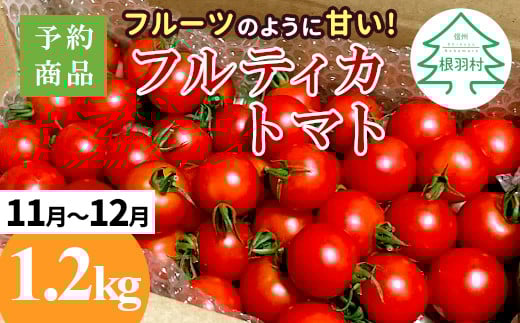 予約品※2025年11月～12月発送フルーツのように甘い フルティカトマト 1.2kg 令和7年度産 ※予約商品※割れ保障付 5000円