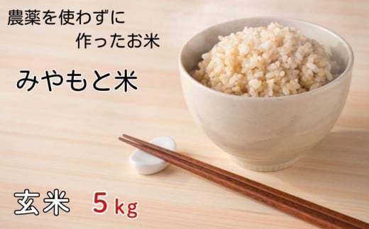 農薬を使わずに作ったお米　みやもと米（玄米）　5kg ／ お米 玄米 千葉県