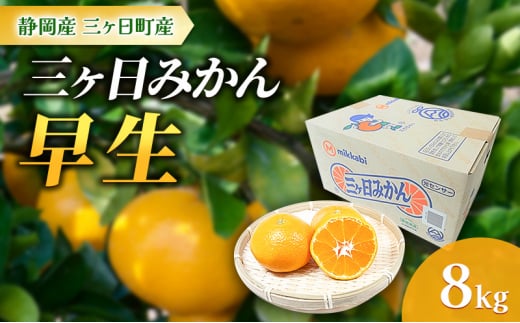 【2024年11月より順次発送】三ヶ日みかん【早生】8kg/箱 静岡県浜松市三ヶ日産 早生 みかん ミカン 蜜柑 果物 フルーツ 柑橘 柑橘類 静岡 浜松市 三ヶ日 [№5360-0142]