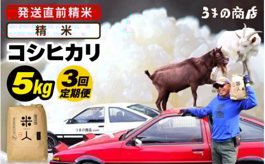 [先行予約][令和7年産・新米]定期便≪3ヶ月連続お届け≫米 コシヒカリ 5kg × 3回定期便[精米][2025年9月中旬以降順次発送予定] [m25-c002_01]
