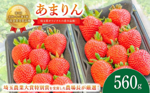 [予約受付] いちご あまりん 560g (280g×2P) 選べる発送月 苺 イチゴ ストロベリー 産地直送 ご当地 果物 くだもの フルーツ デザート 食品 冷蔵 げんき農場 埼玉県 羽生市