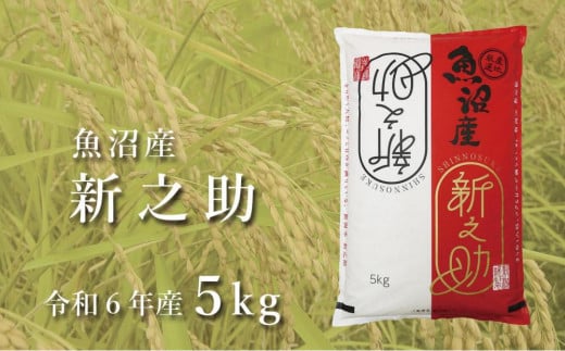 ＜令和6年産＞中魚沼産「新之助(しんのすけ)」5kg 979411 - 新潟県津南町