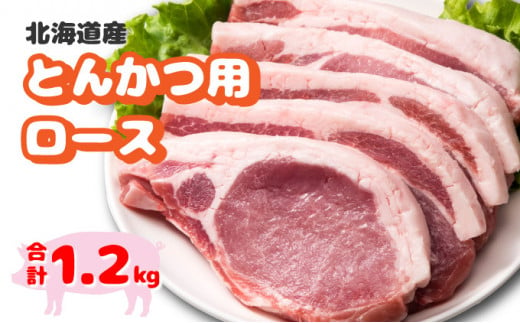 北海道産豚肉・とんかつ用ロース1.2kg（120g×10枚） F21H-429 324777 - 北海道岩内町