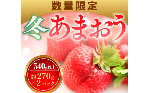 数量限定 冬あまおう2パック 540g以上(270g以上×2)農家直送 アフター保証 イチゴ 苺 いちご 福岡 博多あまおう フルーツ VZ003 2025年1月中旬以降順次発送