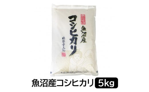 【令和6年産】お米マイスター厳選！魚沼産コシヒカリ5kg 1517844 - 新潟県新潟県庁