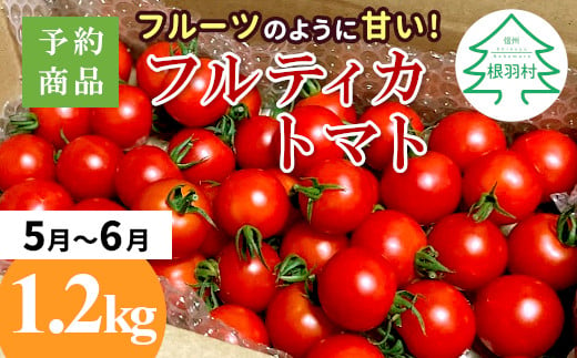 大人気❁先行予約品※2025年5月～6月発送フルーツのように甘い フルティカトマト 1.2kg 令和7年度産 ※予約商品※割れ保障付 5000円