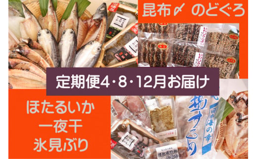 【年3回定期便】氷見の味を食べつくす！＜氷見鰤・昆布〆刺身・蛍いか・のどぐろ入＞  富山県 氷見市 干物 詰め合わせ 魚介類