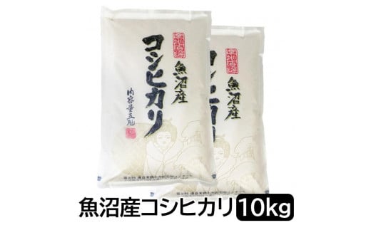 【令和6年産】お米マイスター厳選！魚沼産コシヒカリ10kg(５kg×２) 1517845 - 新潟県新潟県庁