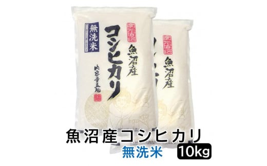 【令和6年産無洗米】お米マイスター厳選！魚沼産コシヒカリ　10kg(5kg×２) 1517851 - 新潟県新潟県庁