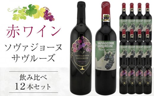 ソヴァジョーヌ・サヴルーズ 3年代分 飲み比べ計12本セット【日本ワイン赤 香川県産 ぶどう】 592894 - 香川県さぬき市