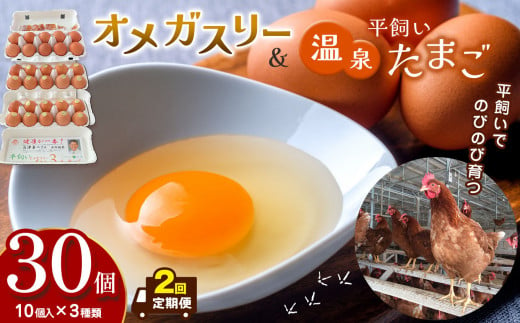 [定期便2回]オメガスリーたまご20個、平飼い温泉たまご10個詰め合わせ(合計3パック、30個入り) | ふるさと納税 信州 鶏 卵 たまご 温泉卵 長野県 松本市 美味しい