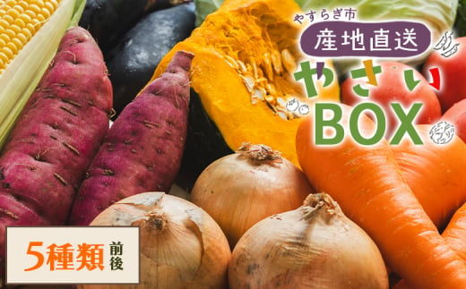 野菜 野菜セット 5種類前後 やさいBOX やすらぎ市 産地直送 - 野菜 ベジタブル おまかせ 詰め合わせ セット 季節 旬 お任せ お楽しみ ヘルシー 国産 特産品 やすらぎ市 高知県 香南市 yr-0027