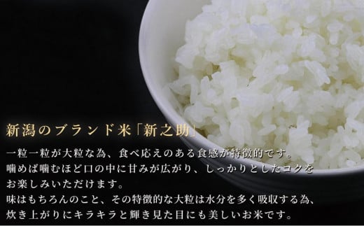 新潟県津南町のふるさと納税 ＜令和6年産＞中魚沼産「新之助(しんのすけ)」5kg