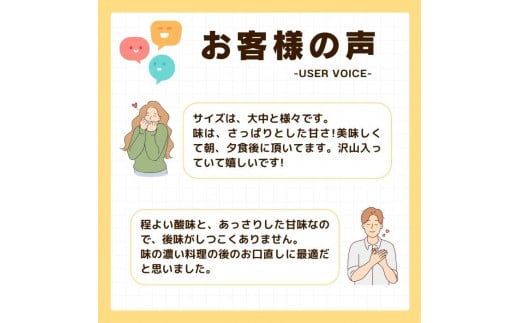 愛媛県愛南町のふるさと納税 先行受付 訳あり はるか 2kg 【発送時期 1月中旬～3月】 なくなり次第終了 柑橘 かんきつ 期間限定 みかん 蜜柑 冬 糖度 みかん職人武田屋