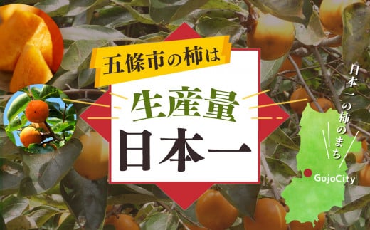 奈良県五條市のふるさと納税 富有柿 7.0kg箱　サイズおまかせ（24個～28個） | フルーツ くだもの 果物 柿 かき カキ 富有柿 奈良県 五條市柿