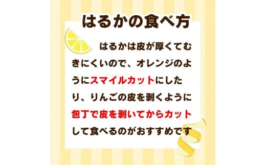 愛媛県愛南町のふるさと納税 先行受付 訳あり はるか 2kg 【発送時期 1月中旬～3月】 なくなり次第終了 柑橘 かんきつ 期間限定 みかん 蜜柑 冬 糖度 みかん職人武田屋