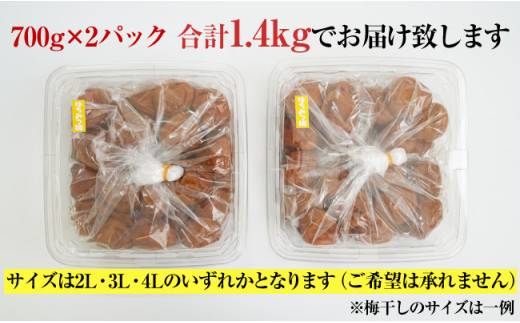 和歌山県御坊市のふるさと納税 【ご家庭用】はちみつ梅干し 1.4kg（紀州南高梅）大容量 和歌山県産