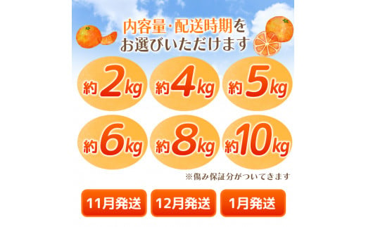 【2024年11月発送予約分】【農家直送】こだわりの有田みかん 約8kg＋250g(傷み補償分) 有機質肥料100% サイズ混合　 【11月発送】/ミカン 蜜柑 柑橘 フルーツ くだもの 果物 温州 有田 【nuk100-1E】|株式会社ＹＡＭＡＳＨＩＮ